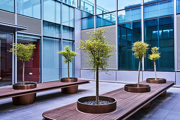 Flooring Harmony in Dubai – Perfect Flooring Solutions by Carpet Pro Installation