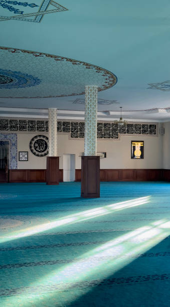 Carpet Pro Installation – Expert Carpet Installation Services in Dubai